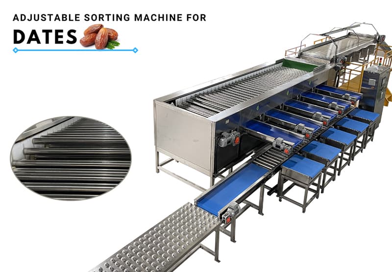 images/1675938939592date sorting grader.jpg